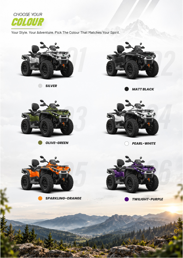 Taigen Brochure - Page 6